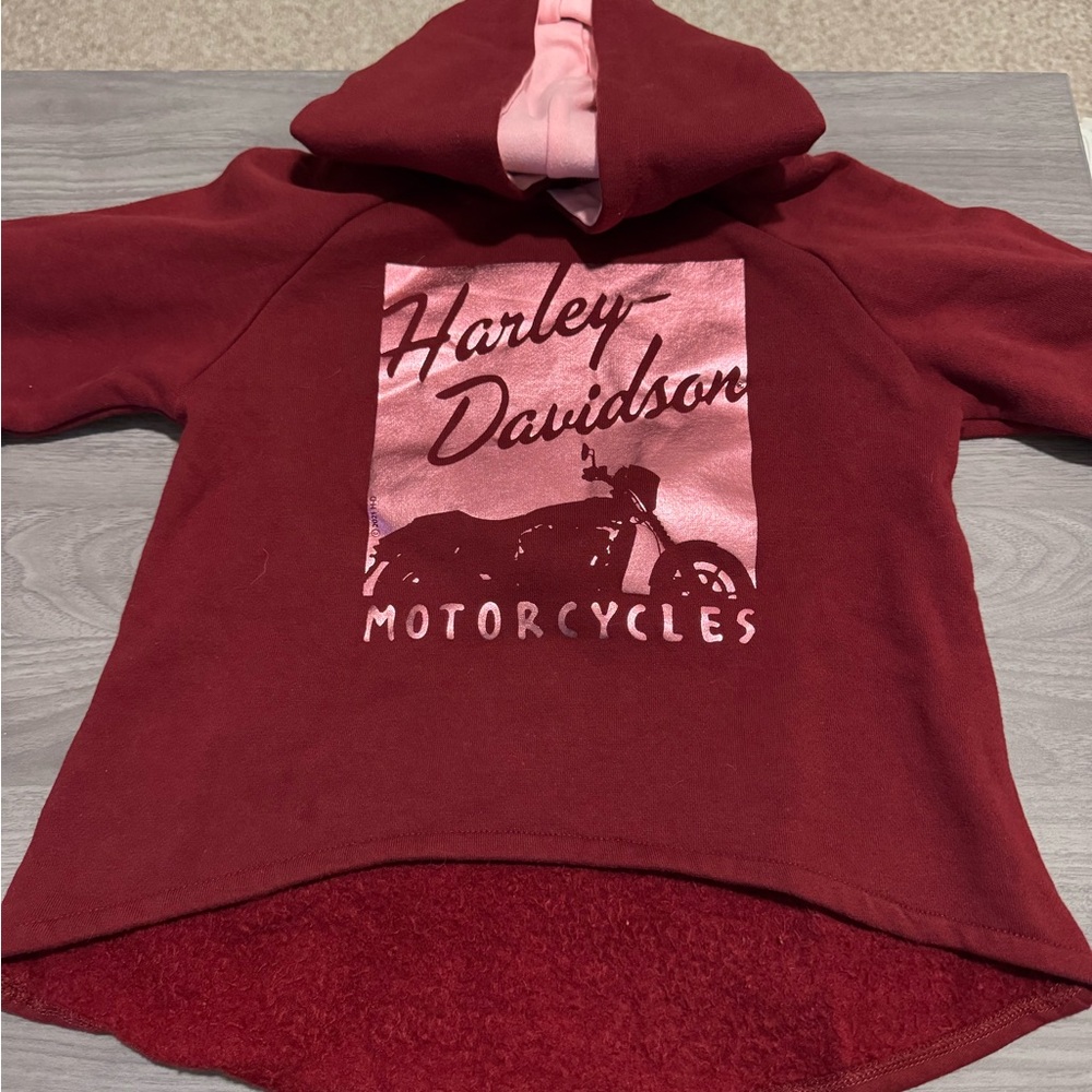 Harley-Davidson Kids Burgundy and Pink Hoodie